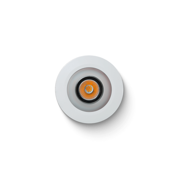 LED Spot WW PWM